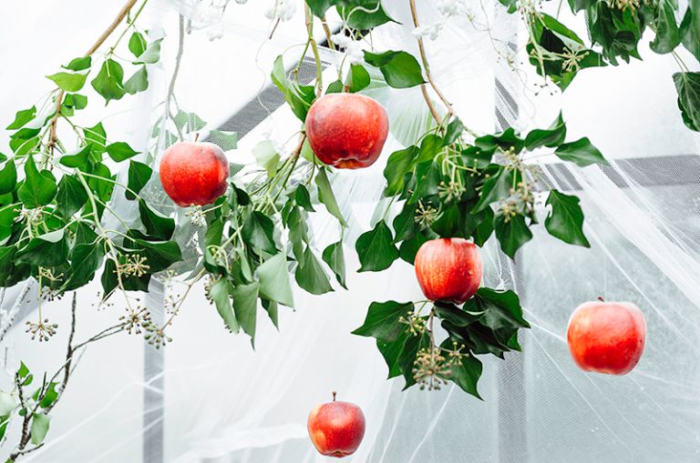 Hochzeitsfotograf Kassel