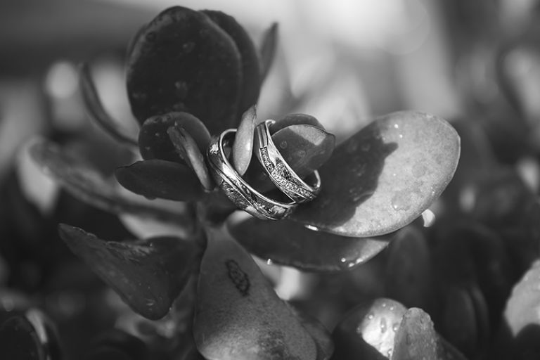 Hochzeitsfotograf Kassel 