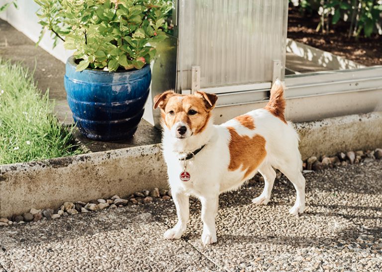 Hochzeitsfotograf Kassel