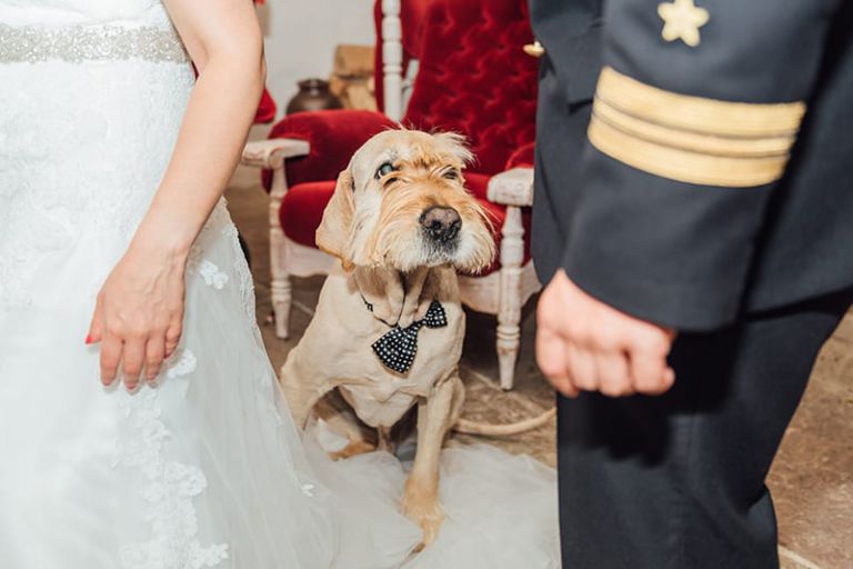hochzeit fotograf nordhessen 