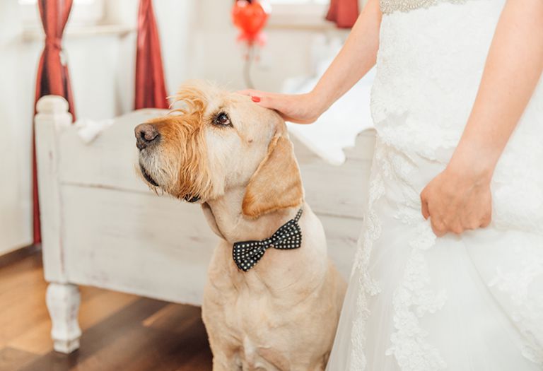 hochzeitsfotograf kassel