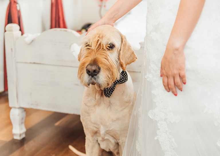 hochzeitsfotograf kassel