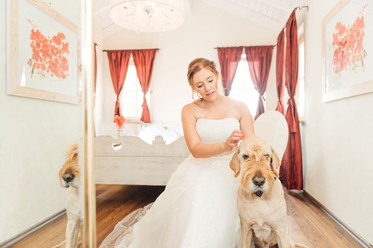 hochzeitsfotograf kassel