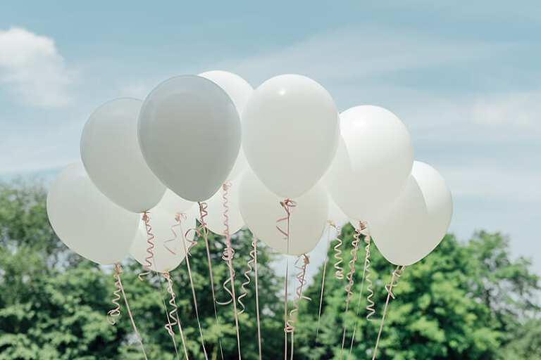 Hochzeitsfotograf Kassel