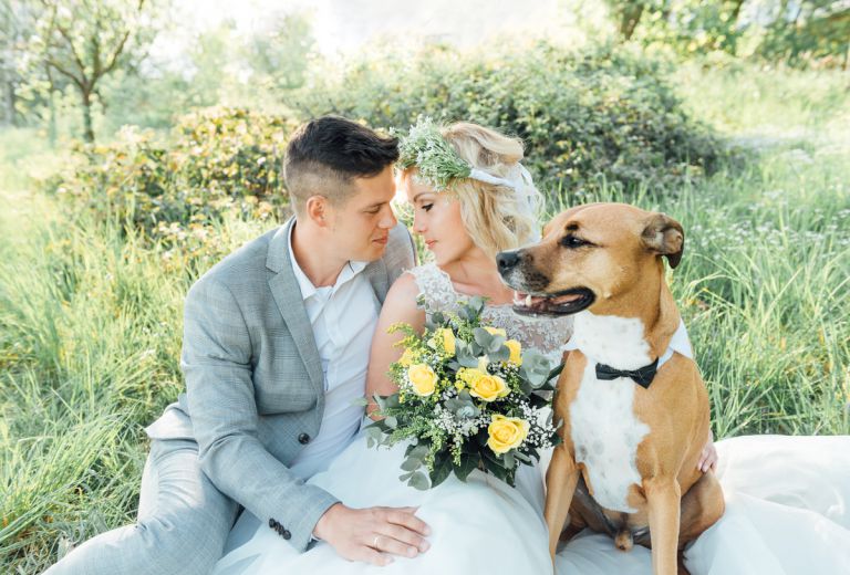 Hochzeitsfotograf Kassel - Hochzeitsfotos mit Hund 