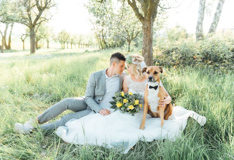 Hochzeitsfotograf Kassel - Hochzeitsfotos Kassel 