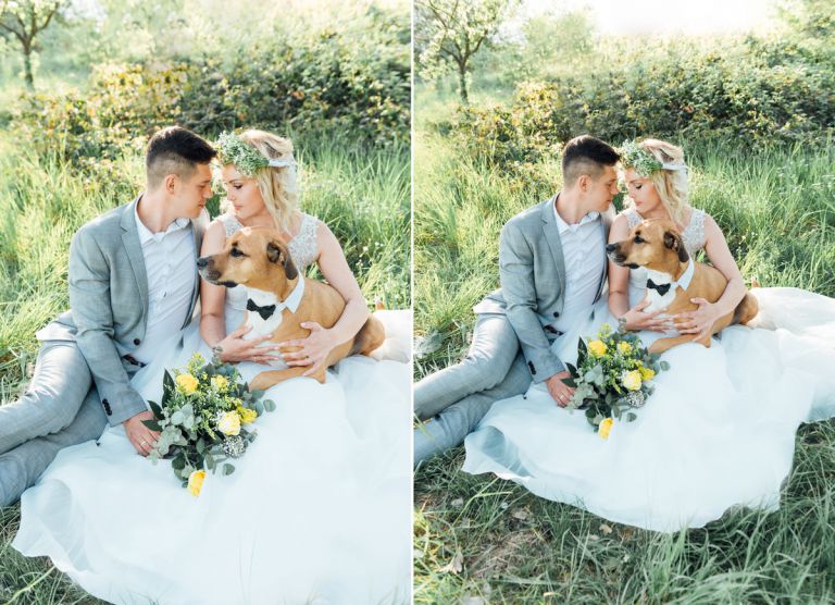 Hochzeitsfotograf Kassel - Hochzeitsfotos mit Hund 