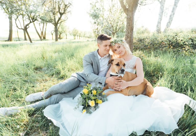 Hochzeitsfotograf Kassel - Hochzeitsfotos mit Hund 