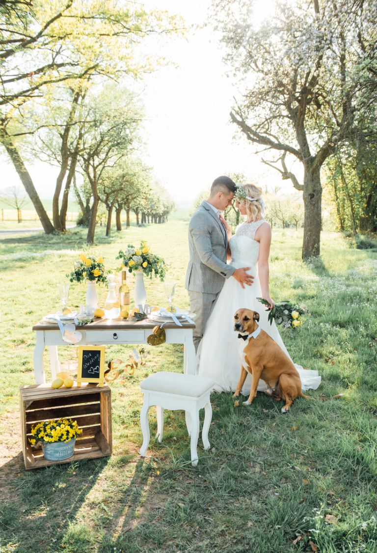 Hochzeitsfotograf Kassel - Hochzeitsfotos Kassel 